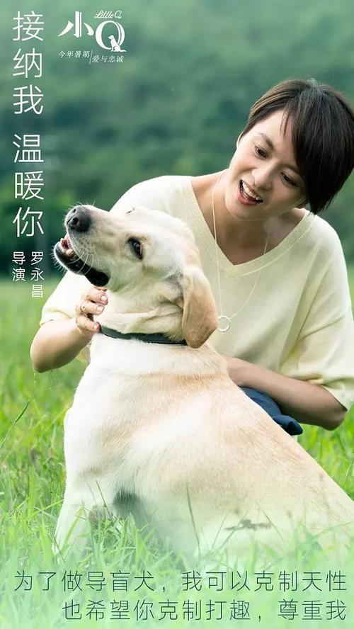 t-没有高中毕业证政审能过吗